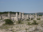 La forêt pétrifiée